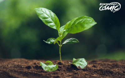 Santa Cruz Cómic sigue consolidando su compromiso con el medio ambiente